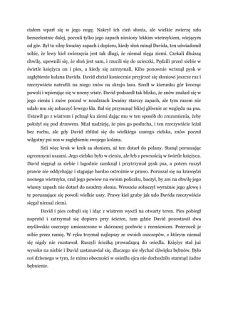 ciałem wparł się w jego nogę. Nakrył ich cień słonia, ale wielkie zwierzę szło
bezszelestnie dalej, poczuli tylko jego zapach niesiony lekkim wietrzykiem, wiejącym
od gór. Był to silny kwaśny zapach i dopiero, kiedy słoń minął Davida, ten uświadomił
sobie, że lewy kieł zwierzęcia jest tak długi, że niemal sięga ziemi. Czekali dłuższą
chwilę, upewnili się, że słoń jest sam, i rzucili się do ucieczki, Pędzili przed siebie w
świetle księżyca on i pies, a kiedy się zatrzymali, Kibo ponownie wcisnął pysk w
zagłębienie kolana Davida. David chciał koniecznie przyjrzeć się słoniowi jeszcze raz i
rzeczywiście natrafili na niego znów na skraju lasu. Szedł w kierunku gór krocząc
powoli i wpierając się w nocny wiatr. David podszedł tak blisko, że znów znalazł się w
jego cieniu i znów poczuł w nozdrzach kwaśny starczy zapach, ale tym razem nie
udało mu się zobaczyć lewego kła. Bał się przysunąć bliżej głównie ze względu na psa.
Ustawił go z wiatrem i pchnął ku ziemi dając mu w ten sposób do zrozumienia, żeby
położył się pod drzewem. Miał nadzieję, że pies go posłucha, i ten rzeczywiście leżał
bez ruchu, ale gdy David zbliżał się do wielkiego szarego cielska, znów poczuł
wilgotny psi nos w zagłębieniu swojego kolana.
Szli więc krok w krok za słoniem, aż ten dotarł do polany. Stanął poruszając
ogromnymi uszami. Jego cielsko było w cieniu, ale łeb z pewnością w świetle księżyca.
David sięgnął za siebie i łagodnie zamknął i przytrzymał pysk psa, a potem ruszył
prawie nie oddychając i stąpając bardzo ostrożnie w prawo. Poruszał się na krawędzi
nocnego wietrzyka, czuł jego powiew na swoim policzku, baczył, by ani na chwilę jego
własny zapach nie dotarł do nozdrzy słonia. Wreszcie zobaczył wyraźnie jego głowę i
te poruszające się powoli wielkie uszy. Prawy kieł gruby jak udo Davida rzeczywiście
sięgał niemal ziemi.
David i pies cofnęli się i idąc z wiatrem wyszli na otwarty teren. Pies pobiegł
naprzód i zatrzymał się dopiero przy ścieżce, tam gdzie David pozostawił dwa
myśliwskie oszczepy umieszczone w skórzanej pochwie z rzemieniem. Przerzucił je
sobie przez ramię. W ręku trzymał najlepszy ze swoich oszczepów, z którym niemal
się nigdy nie rozstawał. Ruszyli ścieżką prowadzącą do osiedla. Księżyc stał już
wysoko na niebie i David zastanawiał się, dlaczego nie słychać dźwięku bębnów. Było
coś dziwnego w tym, że mimo obecności w osiedlu ojca nie dochodziło stamtąd żadne
bębnienie.
 