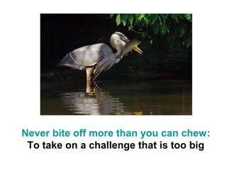 Never bite off more than you can chew:
 To take on a challenge that is too big
 