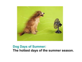 Dog Days of Summer:
The hottest days of the summer season.
 