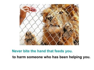 Never bite the hand that feeds you.
to harm someone who has been helping you.
 