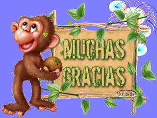 Ernestine wiedenbach