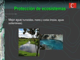  Mejor agua( humedales, mares y costas limpias, aguas
subterráneas).
 