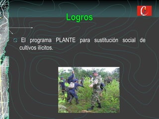 El programa PLANTE para sustitución social de
cultivos ilícitos.
 