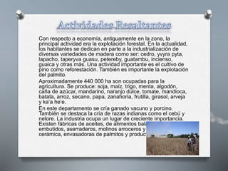 Con respecto a economía, antiguamente en la zona, la
principal actividad era la explotación forestal. En la actualidad,
los habitantes se dedican en parte a la industrialización de
diversas variedades de madera como ser: cedro, yvyra pyta,
lapacho, taperyva guasu, petereby, guatambu, incienso,
guaica y otras más. Una actividad importante es el cultivo de
pino como reforestación. También es importante la explotación
del palmito.
Aproximadamente 440 000 ha son ocupadas para la
agricultura. Se produce: soja, maíz, trigo, menta, algodón,
caña de azúcar, mandarino, naranjo dulce, tomate, mandioca,
batata, arroz, secano, papa, zanahoria, frutilla, girasol, arveja
y ka’a he’e.
En este departamento se cría ganado vacuno y porcino.
También se destaca la cría de razas indianas como el cebú y
nelore. La industria ocupa un lugar de creciente importancia.
Existen fábricas de aceites, de alimentos balanceados,
embutidos, aserraderos, molinos arroceros y yerbateros,
cerámica, envasadoras de palmitos y productos lácteos.
 