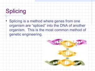 genetic engineering