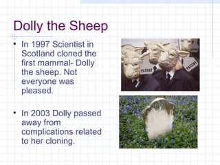 Dolly the Sheep
• In 1997 Scientist in
  Scotland cloned the
  first mammal- Dolly
  the sheep. Not
  everyone was
  pleased.

• In 2003 Dolly passed
  away from
  complications related
  to her cloning.
 