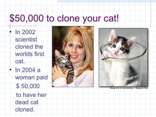 $50,000 to clone your cat!
• In 2002
  scientist
  cloned the
  worlds first
  cat.
• In 2004 a
  woman paid
   $ 50,000
   to have her
  dead cat
  cloned.
 