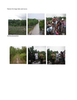 Ernie wetland