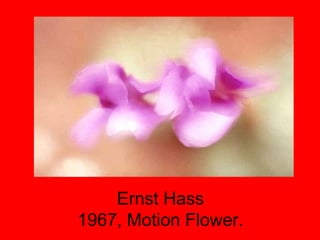 Ernst Hass 1967, Motion Flower. 