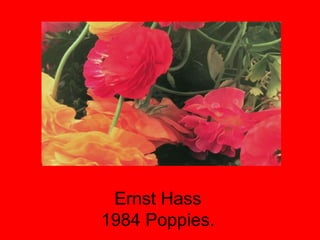 Ernst Hass 1984 Poppies. 