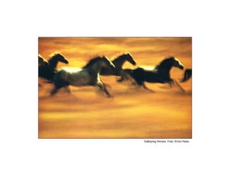 Galloping Horses. Foto: Ernst Haas.
 