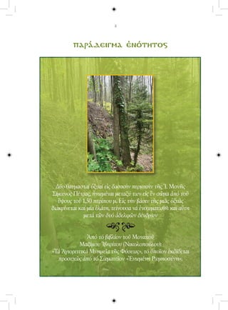 παράδειγμα ἑνότητος




  Δύο θαυμασταί ὀξυαί εἰς δασικήν περιοχήν τῆς Ἱ. Μονῆς
Σίμωνος Πέτρας, ἡνωμέναι μεταξύ των εἰς ἕν σῶμα ἀπό τοῦ
   ὕψους τοῦ 1,50 περίπου μ. Εἰς τήν βάσιν τῆς μιᾶς ὀξυᾶς
διακρίνεται καί μία ἐλάτη, τείνουσα νά ἐνσωματωθῆ καί αὕτη
              μετά τῶν δυό ἀδελφῶν δένδρων


               Ἀπό τό βιβλίον τοῦ Μοναχοῦ
           Μαξίμου Ἰβηρίτου (Νικολοπούλου):
«Τά Ἁγιορειτικά Μνημεῖα τῆς Φύσεως», τό ὁποῖον ἐκδίδεται
  προσεχῶς ἀπό τό Σωματεῖον «Ἑνωμένη Ρωμηοσύνη».
 