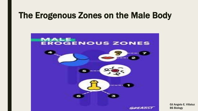 Erogenous zone | PPTX