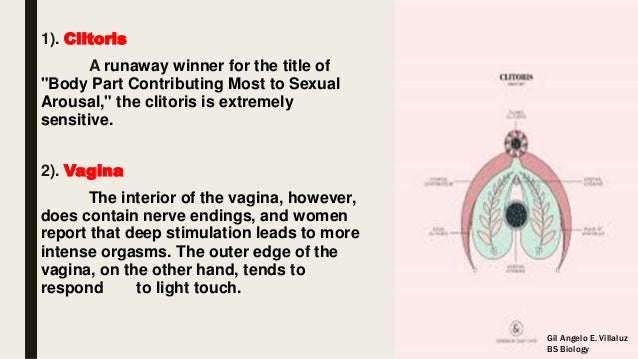 Erogenous zone Erogenous zone