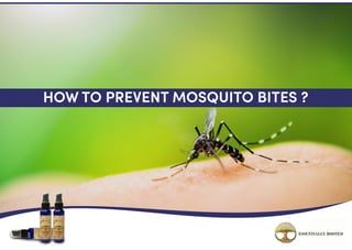 Best Organic Mosquito Repellent, Deet Free Bug Spray by Erooted - Skeeter Armor