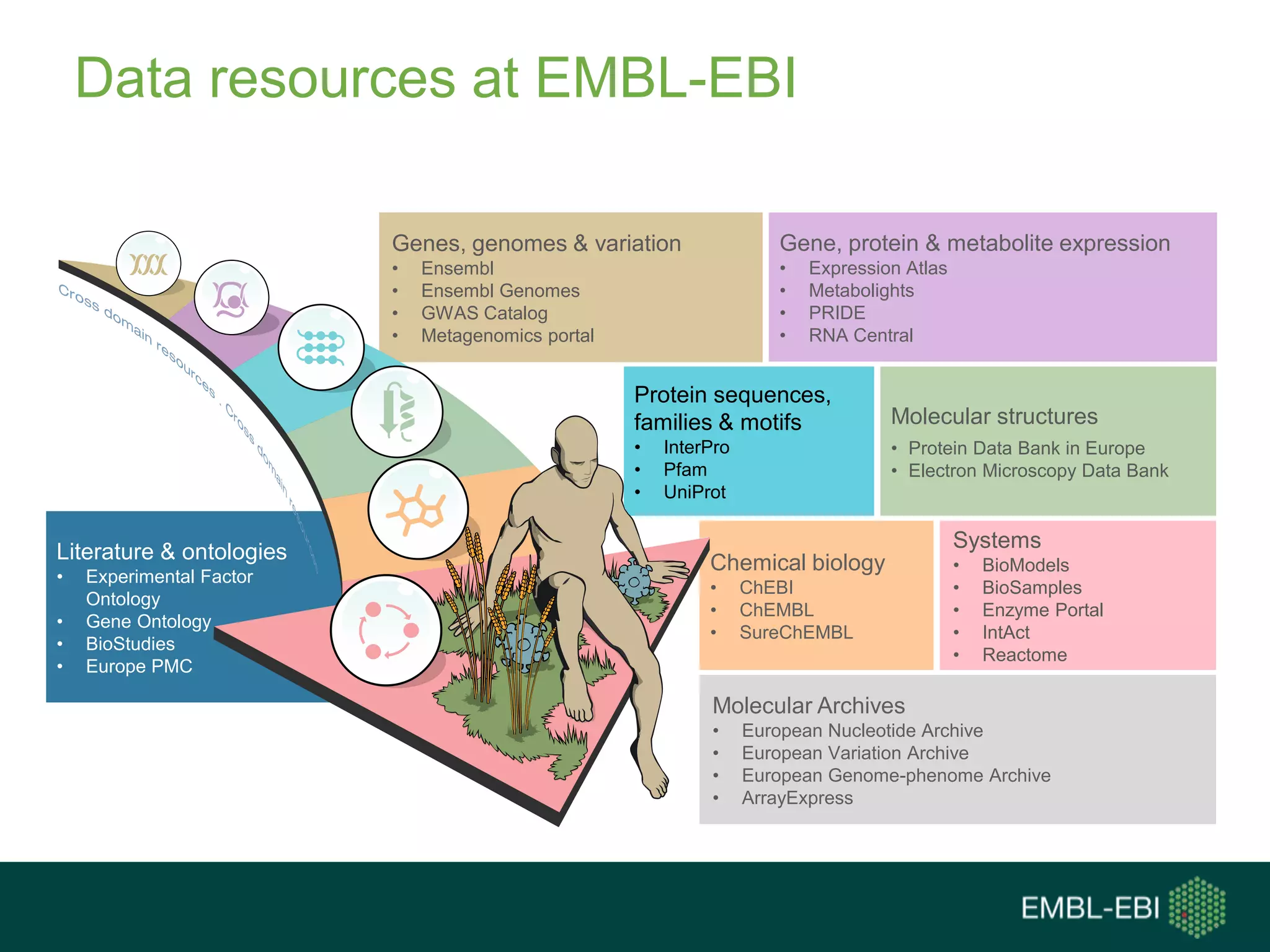 Data resources at EMBL-EBI
Literature & ontologies
• Experimental Factor
Ontology
• Gene Ontology
• BioStudies
• Europe PMC
Chemical biology
• ChEBI
• ChEMBL
• SureChEMBL
Molecular structures
• Protein Data Bank in Europe
• Electron Microscopy Data Bank
Gene, protein & metabolite expression
• Expression Atlas
• Metabolights
• PRIDE
• RNA Central
Protein sequences,
families & motifs
• InterPro
• Pfam
• UniProt
Genes, genomes & variation
• Ensembl
• Ensembl Genomes
• GWAS Catalog
• Metagenomics portal
Systems
• BioModels
• BioSamples
• Enzyme Portal
• IntAct
• Reactome
Molecular Archives
• European Nucleotide Archive
• European Variation Archive
• European Genome-phenome Archive
• ArrayExpress
 