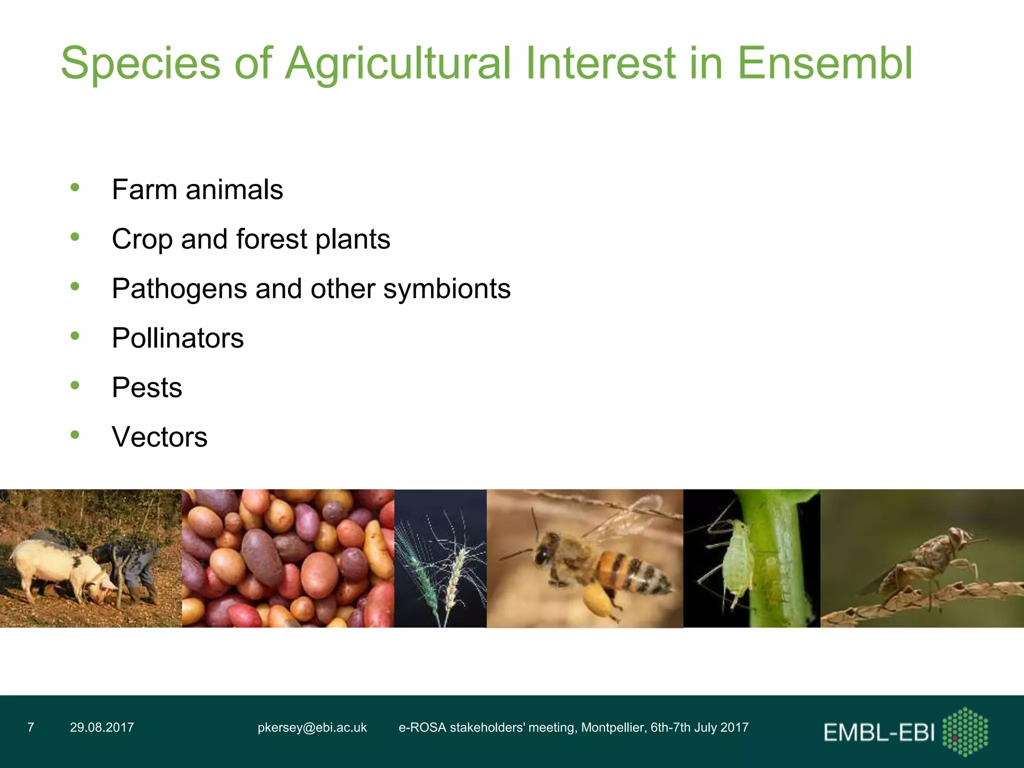 pkersey@ebi.ac.uk e-ROSA stakeholders' meeting, Montpellier, 6th-7th July 201729.08.20177
Species of Agricultural Interest in Ensembl
• Farm animals
• Crop and forest plants
• Pathogens and other symbionts
• Pollinators
• Pests
• Vectors
 