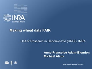 Making wheat data FAIR
eROSA workshop, Montpellier, 6-7/07/2017
Unit of Research in Genomic-Info (URGI), INRA
Anne-Françoise Adam-Blondon
Michael Alaux
 