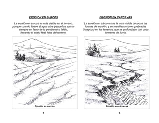 EROSIÓN EN SURCOS

EROSIÓN EN CÁRCAVAS

La erosión en surcos es más visible en el terreno,
porque cuando llueve el agua abre pequeños surcos
siempre en favor de la pendiente o faldío,
llevando el suelo fértil lejos del terreno.

La erosión en cárcavas es la más visible de todas las
formas de erosión, y se manifiesta como quebradas
(huaycos) en los terrenos, que se profundizan con cada
tormenta de lluvia.

Erosión en surcos.
5

Erosión en cárcavas
6

 