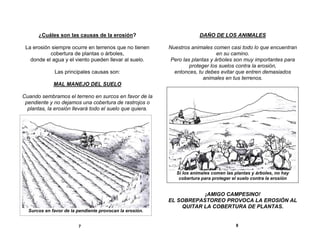 ¿Cuáles son las causas de la erosión?

DAÑO DE LOS ANIMALES

La erosión siempre ocurre en terrenos que no tienen
cobertura de plantas o árboles,
donde el agua y el viento pueden llevar al suelo.

Nuestros animales comen casi todo lo que encuentran
en su camino.
Pero las plantas y árboles son muy importantes para
proteger los suelos contra la erosión,
entonces, tu debes evitar que entren demasiados
animales en tus terrenos.

Las principales causas son:
MAL MANEJO DEL SUELO
Cuando sembramos el terreno en surcos en favor de la
pendiente y no dejamos una cobertura de rastrojos o
plantas, la erosión llevará todo el suelo que quiera.

Si los animales comen las plantas y árboles, no hay
cobertura para proteger el suelo contra la erosión

Surcos en favor de la pendiente provocan la erosión.
7

¡AMIGO CAMPESINO!
EL SOBREPASTOREO PROVOCA LA EROSIÓN AL
QUITAR LA COBERTURA DE PLANTAS.

8

 