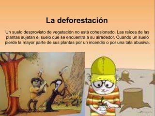 La deforestación 
Un suelo desprovisto de vegetación no está cohesionado. Las raíces de las 
plantas sujetan el suelo que se encuentra a su alrededor. Cuando un suelo 
pierde la mayor parte de sus plantas por un incendio o por una tala abusiva. 
 