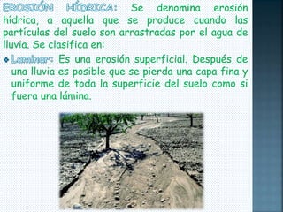Se denomina erosión 
hídrica, a aquella que se produce cuando las 
partículas del suelo son arrastradas por el agua de 
lluvia. Se clasifica en: 
Es una erosión superficial. Después de 
una lluvia es posible que se pierda una capa fina y 
uniforme de toda la superficie del suelo como si 
fuera una lámina. 
 