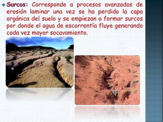 Corresponde a procesos avanzados de 
erosión laminar una vez se ha perdido la capa 
orgánica del suelo y se empiezan a formar surcos 
por donde el agua de escorrentía fluye generando 
cada vez mayor socavamiento. 
 