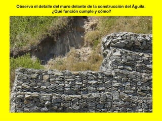 Observa el detalle del muro delante de la construcción del Águila.
                  ¿Qué función cumple y cómo?
 