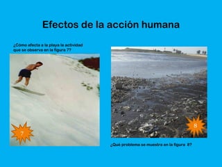 Efectos de la acción humana
¿Cómo afecta a la playa la actividad
que se observa en la figura 7?




                                                                                  8
   7

                                       ¿Qué problema se muestra en la figura 8?
 