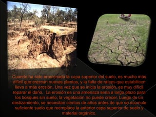 EFECTOS NEGATIVOS* DesertificaciónIMPORTANCIA DEL SUELOCONTROL DE LA EROSIÓN DE LOS SUELOS Y MEDIDAS PREVENTIVAS