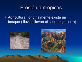 Erosión antrópicas Agricultura , originalmente existe un bosque ( lluvias llevan el suelo bajo tierra) 