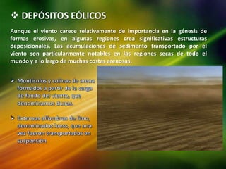  DEPÓSITOS EÓLICOS
Aunque el viento carece relativamente de importancia en la génesis de
formas erosivas, en algunas regiones crea significativas estructuras
deposicionales. Las acumulaciones de sedimento transportado por el
viento son particularmente notables en las regiones secas de todo el
mundo y a lo largo de muchas costas arenosas.
 