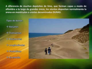 A diferencia de muchos depósitos de limo, que forman capas a modo de
alfombra a lo largo de grandes áreas, los vientos depositan normalmente la
arena en montículos o crestas denominados DUNAS.
 
