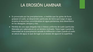 LA EROSIÓN LAMINAR
 Es provocada por las precipitaciones, a medida que las gotas de lluvia
golpean el suelo, se desprenden partículas de tierra que luego el agua
arrastra al escurrirse convirtiéndose en agua pantanosa, ésta desemboca
en los desagües, arroyos y ríos.
 Pérdida de una capa delgada más o menos uniforme de suelo (partículas
liberadas por salpicadura) en un terreno inclinado. Tiene lugar cuando la
intensidad de la precipitación excede la infiltración o bien cuando el suelo
se satura de agua, lo que da lugar a un exceso de agua en la superficie.
 