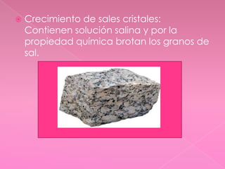 Crecimiento de sales cristales:Contienen solución salina y por la propiedad química brotan los granos de sal.
