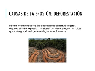Causas Humanas de la Erosión del Suelo y Medidas de Conservación ...