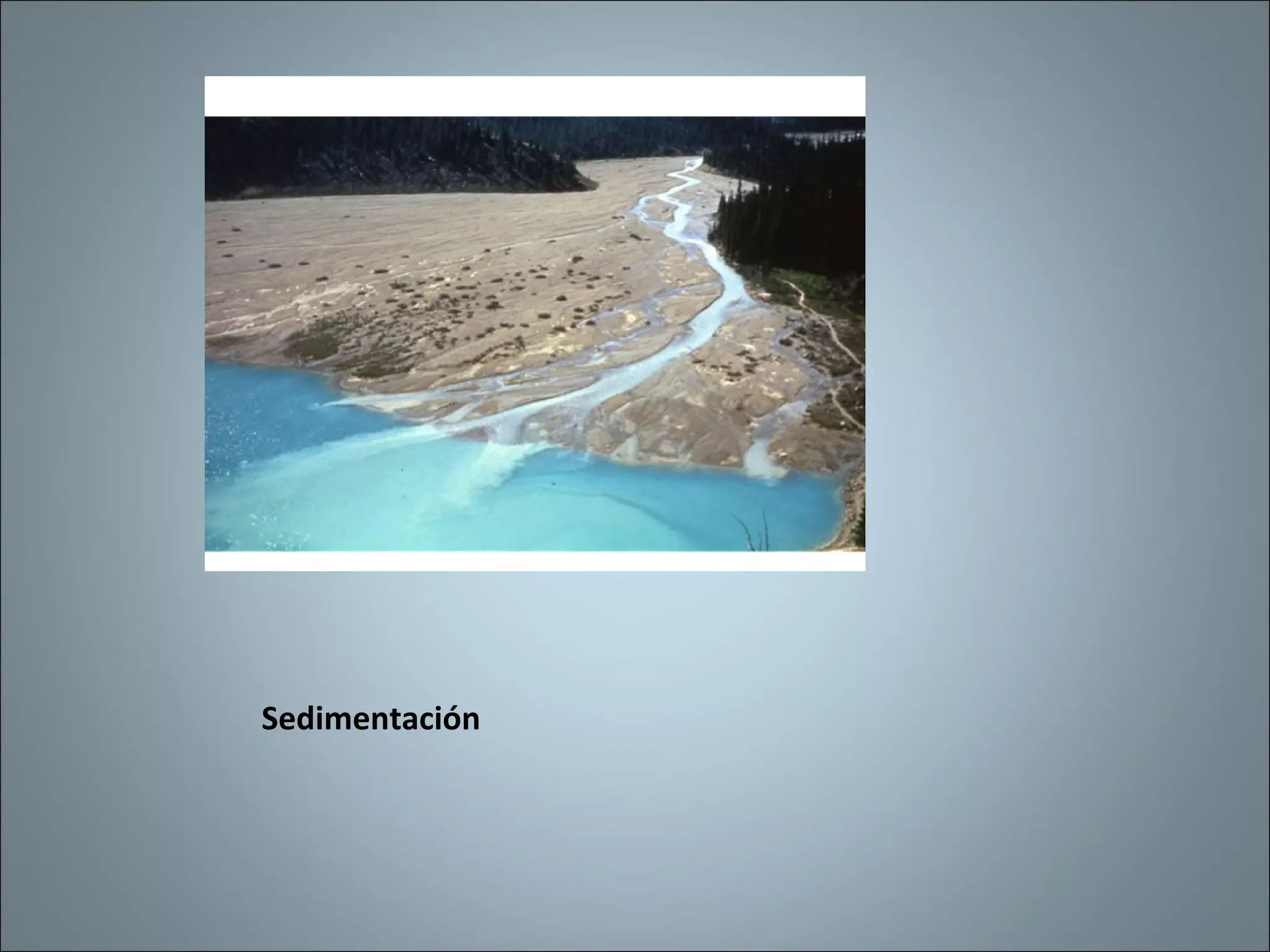 Sedimentación