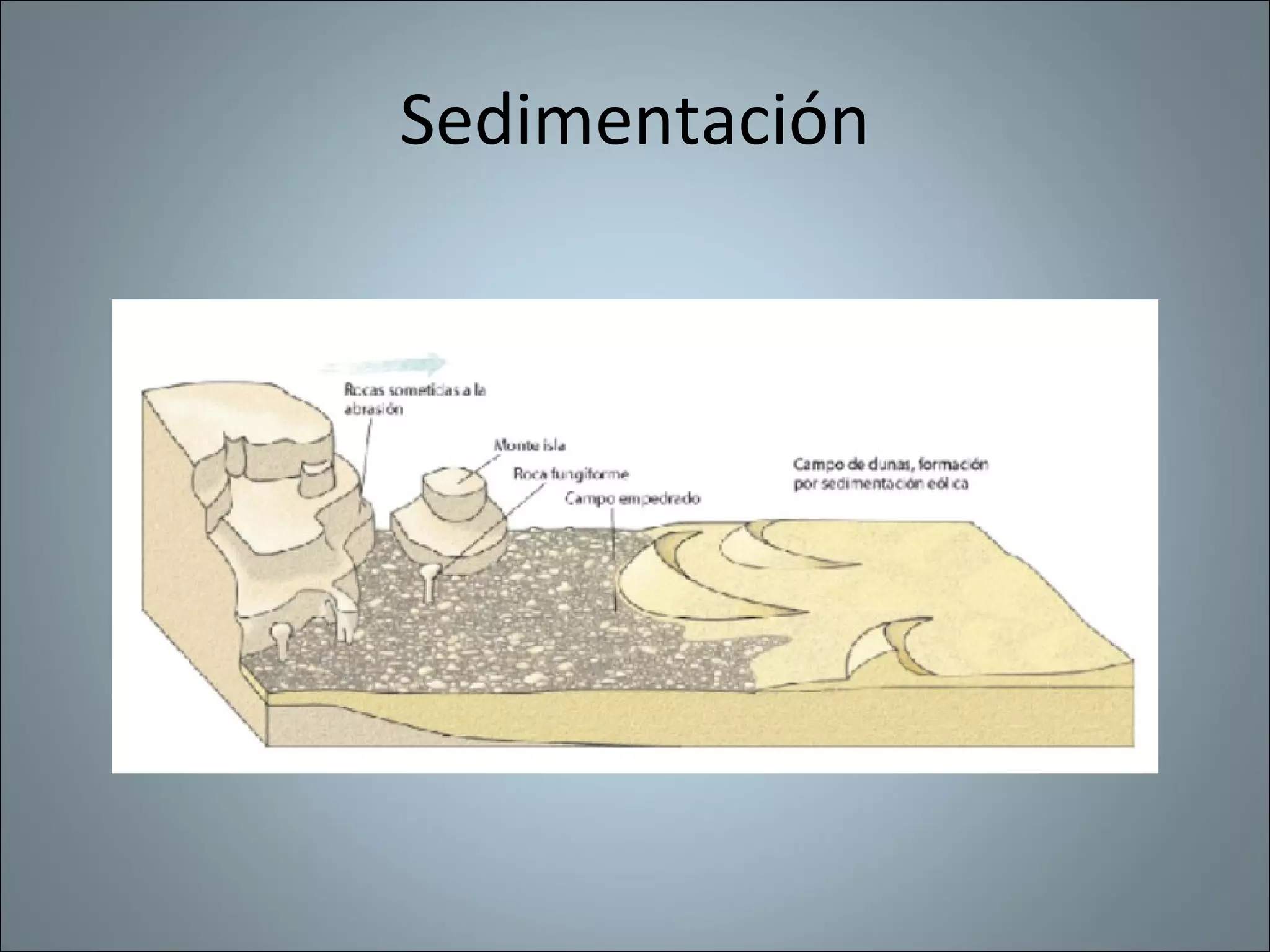 Sedimentación