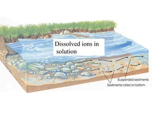 Dissolved ions in solution 
