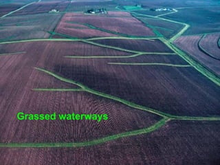 Grassed waterways
 