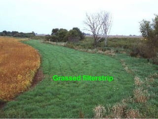 Grassed filterstrip
 