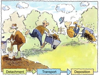 Detachment   Transport   Deposition
 