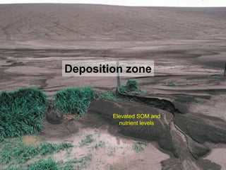 Deposition zone



        Elevated SOM and
          nutrient levels
 