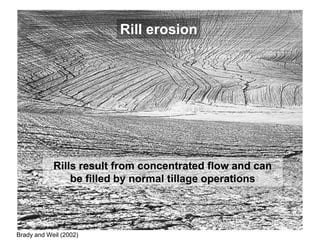 Rill erosion




            Rills result from concentrated flow and can
                be filled by normal tillage operations




Brady and Weil (2002)
 