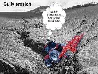 Gully erosion
                    Dad !!!
                I think the rill
                  has turned
                 into a gully!
 