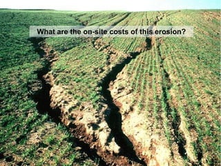 What are the on-site costs of this erosion?
 