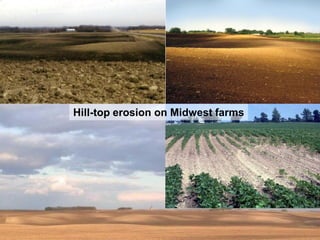 Hill-top erosion on Midwest farms




http://outdoors.webshots.com/photo/1236540189056376852HRFRXH
 