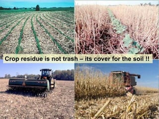 Crop residue is not trash – its cover for the soil !!
 