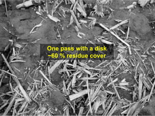 One pass with a disk
~60 % residue cover
 