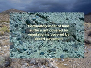 Fortunately most of land
 surface not covered by
vegetation is covered by
    desert pavement
 
